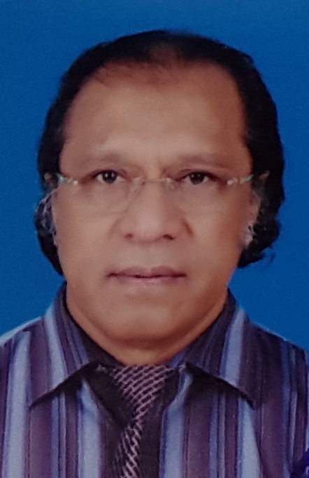 Prof. Dr. Jozua Sabandar, Ph.D